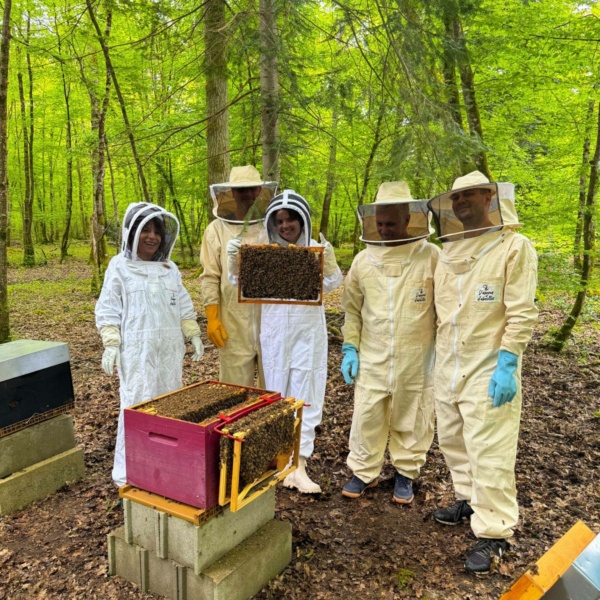 Ateliers découverte des abeilles