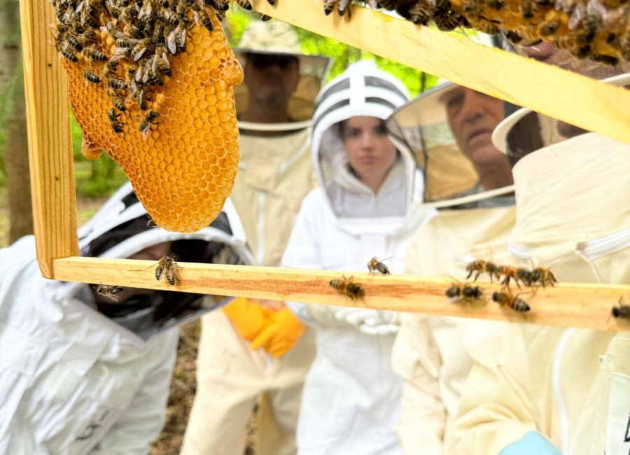 damouretdabeilles_atelier_2