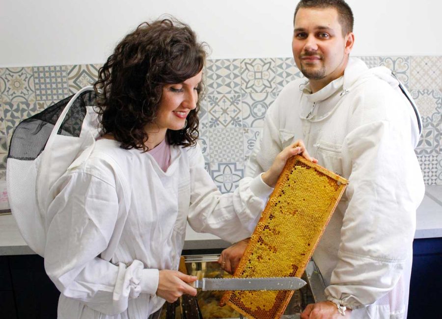 miel_melissa-anthony_d-amour-et-d-abeilles_1006